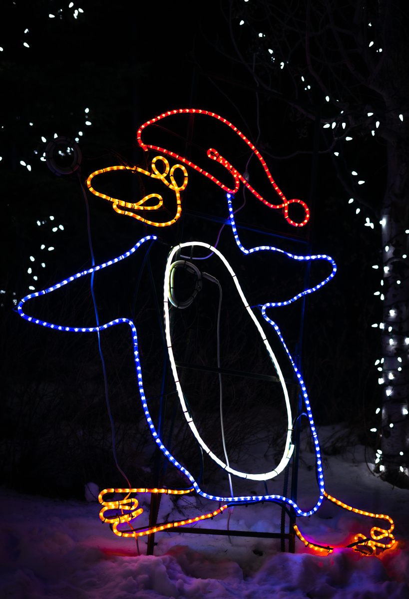 加拿大卡尔加里动物圆的zoolight霓虹灯