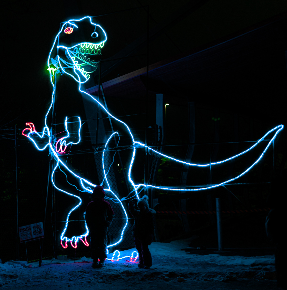 加拿大卡尔加里动物圆的zoolight霓虹灯