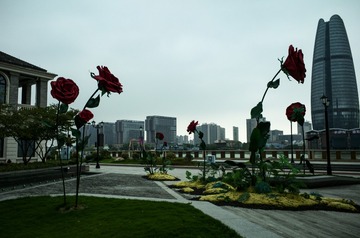 20E11CE7-54BF-46E7-A681-D8853F458599/L0/001