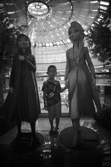 C0D776ED-3854-4A79-87FD-CDF5851EB8F1/L0/001