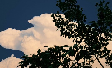 85F90C97-7299-40F3-AD31-8284A570BF24/L0/001