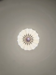 1000003475
