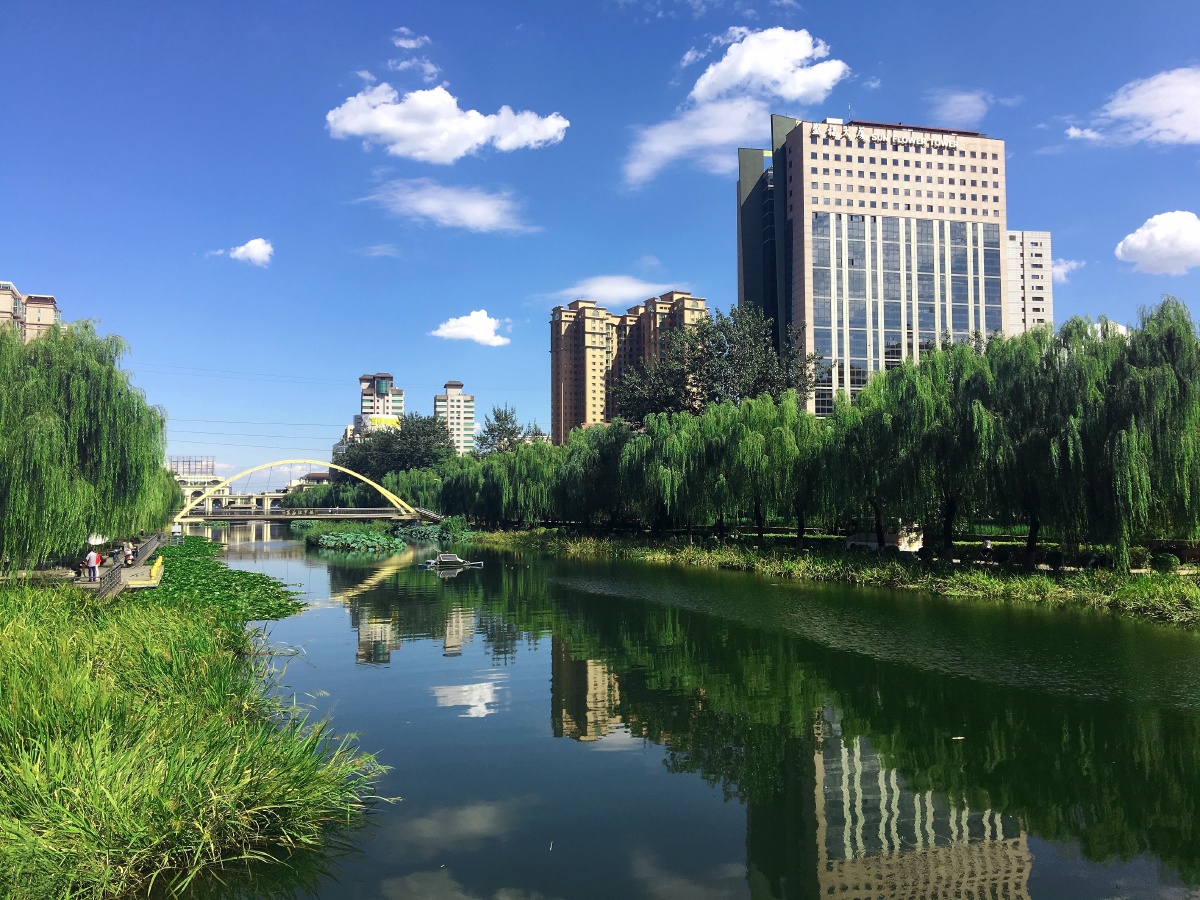 万物复苏风景如画