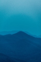 1000127836