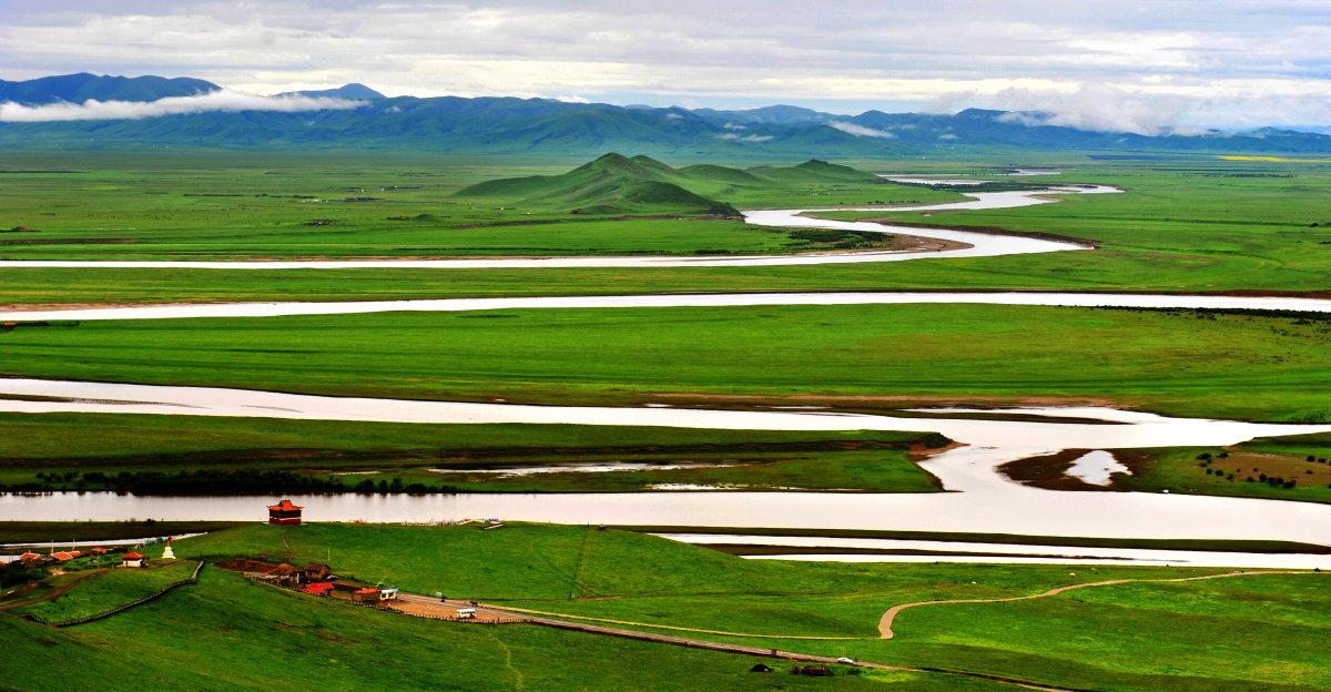 湿地地球的绿肺3