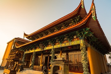 _5D35038[1]