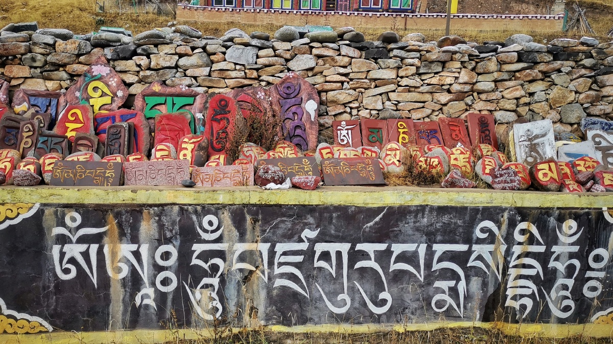 四川迷糊虫161095487889347 - 图虫