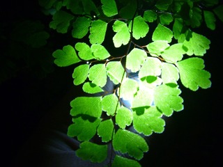 874837FD-45FE-4C0B-BC9F-C1D4775547C6/L0/001