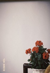 E64DCBC3-0C09-4059-AB64-81F5B32FD722/L0/001