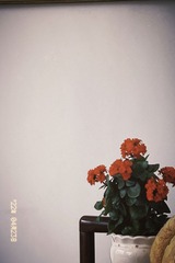 E64DCBC3-0C09-4059-AB64-81F5B32FD722/L0/001