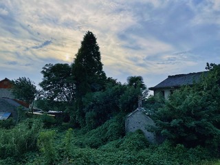 5F2885CF-A318-4EB7-8BA0-1341ED286805/L0/001