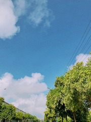 8D6F472F-596F-447D-987C-015F177E824B/L0/001