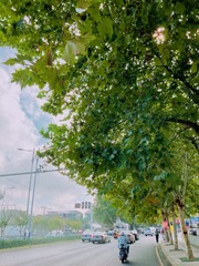26AF7013-DA06-4561-9BA5-8EE67EF5F13D/L0/001