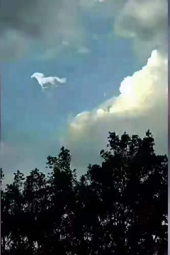 白云变的白龙马,特别像