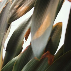 9E7FBD4B-F92C-4820-8652-D0C0EDA3C7F7/L0/001