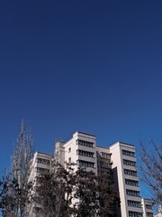 1000033686