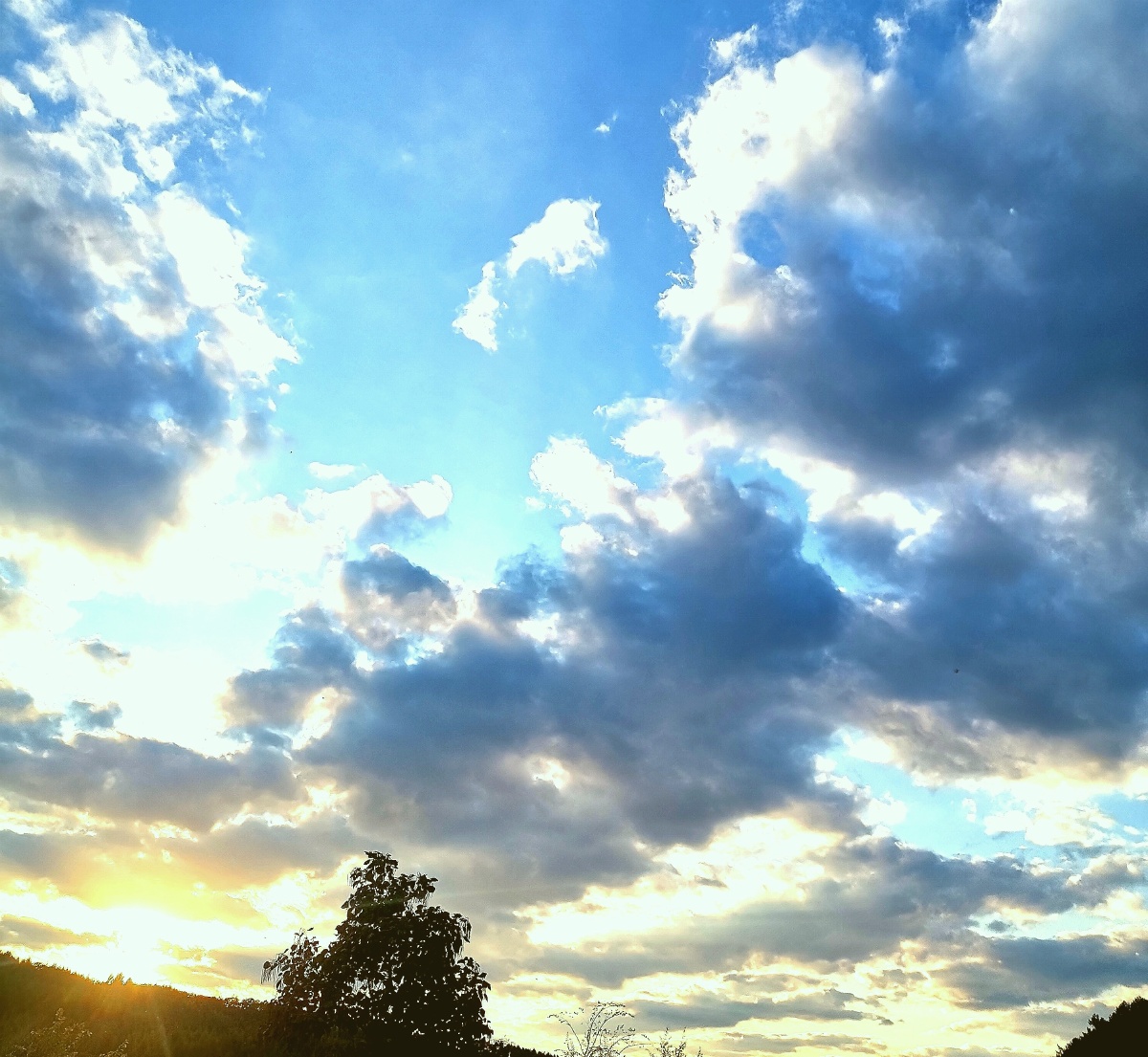 美好的天气才是生活最初的开始