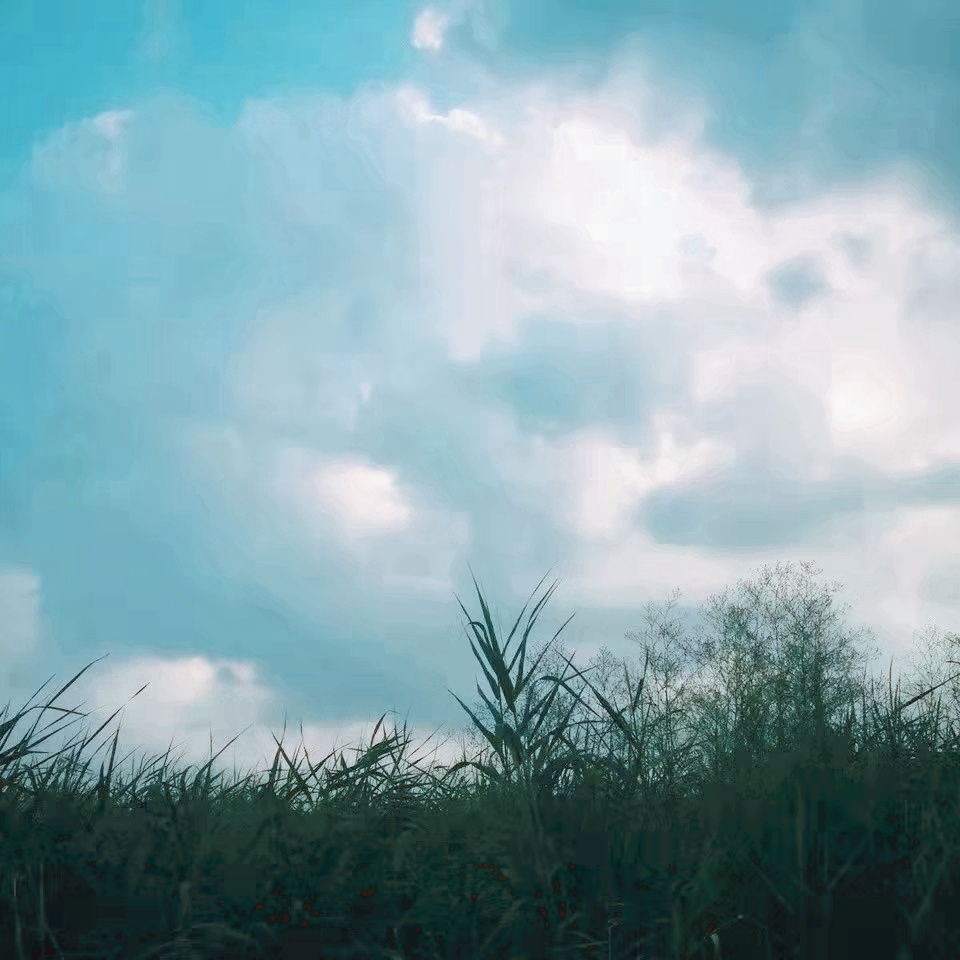 微信头像加朋友圈背景图.