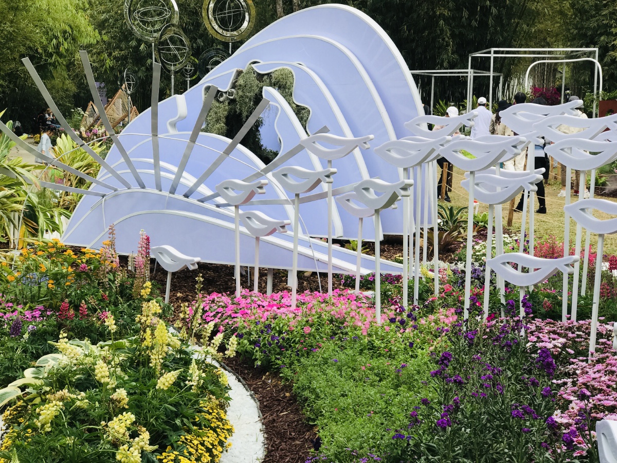 粤港澳大湾区深圳花展还有2天就要闭幕了!