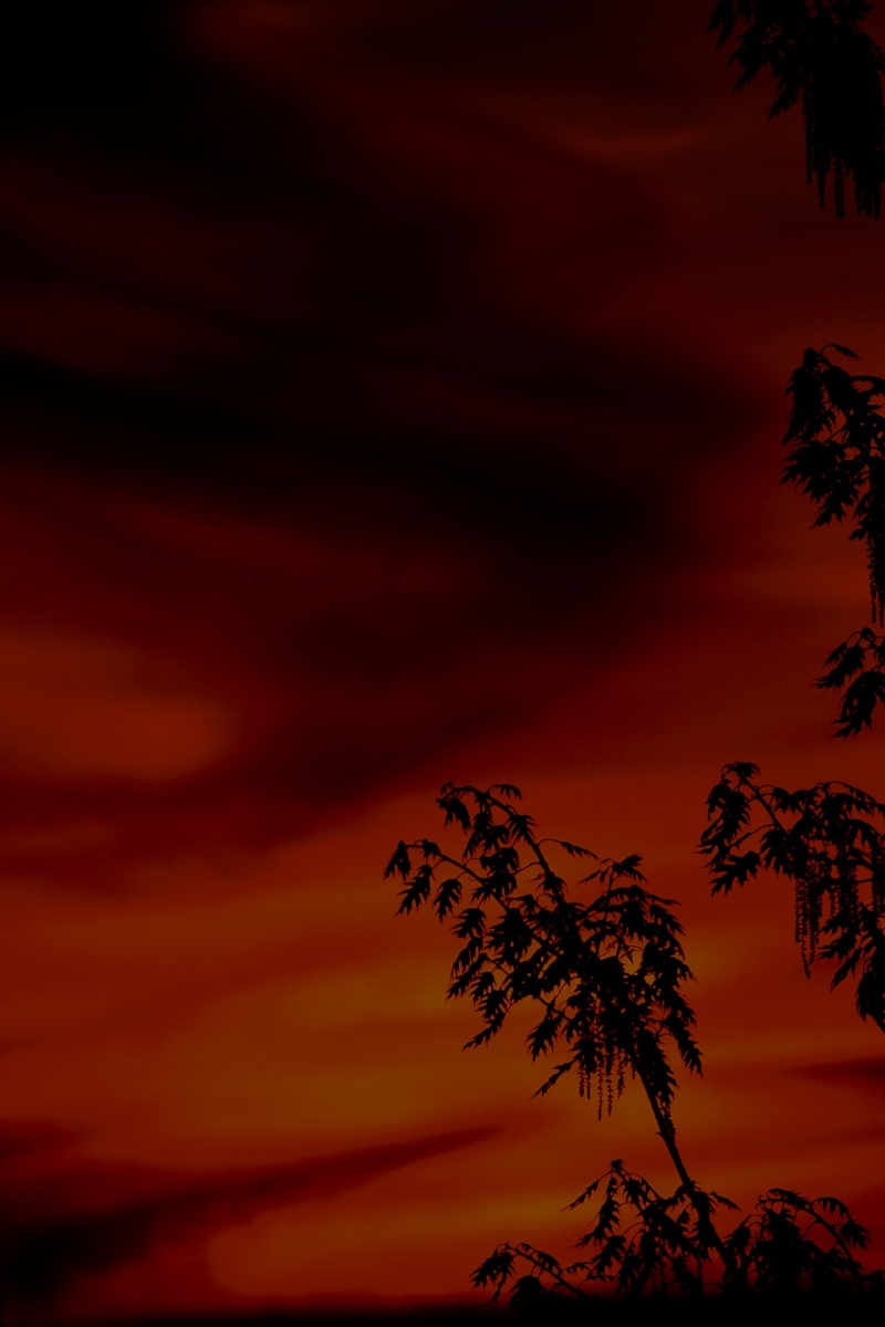 血色黄昏拍摄于夏季的康奈尔大学夕阳西下后天空呈现出灰暗血红色