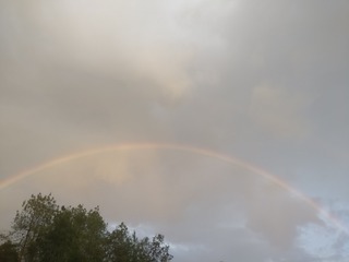 259