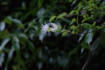 69AB5362-87ED-4E14-AC6A-A55B18B7EE4A/L0/001