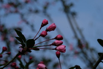 9E3D701B-B7C7-43F7-AA60-7F75FB1C36A2/L0/001
