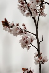 4823D037-2F97-4717-8D19-0E025A3C6F0A/L0/001