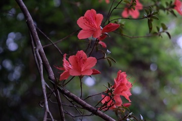 E75D651B-A44D-4568-B3DB-AB331CA349F3/L0/001
