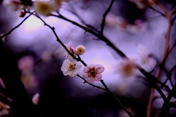 E2FF9D7E-9552-4D15-91F8-95D1A325C0C7/L0/001