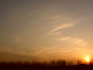SAM_0114