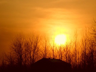 SAM_0115