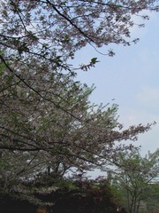 C77CCD8B-420A-4D3B-91E2-B060F288D5FD/L0/001