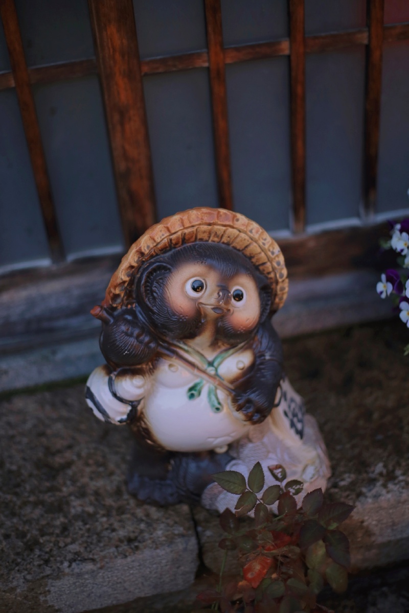 日本和风信乐烧狸猫