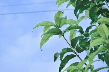 2F85E08F-8671-45A6-87B7-ED6BD6D70E77/L0/001