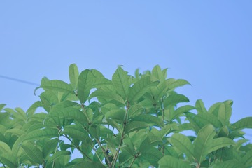 C66038B8-609C-46D4-B72C-84B0958F7974/L0/001