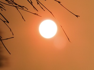 5B9A7043-C3CF-4B7F-B08A-B3C14C104C03/L0/001