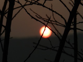 784EB50B-1178-4F16-AD21-C9990B10219F/L0/001
