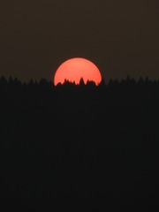 0962116F-39D2-40CB-9D41-F91EEDAC9B4D/L0/001