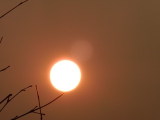 974A6017-F4B6-4CEB-AFAD-439CB37A1C98/L0/001