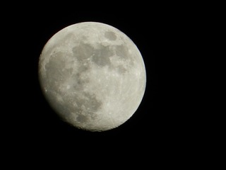 D86033ED-258B-49D8-ADD1-442473D3DA37/L0/001