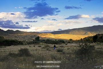 IMG_8541.jpg