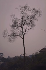 E79BCDB4-2E18-4715-BD01-869D5C7F1797/L0/001