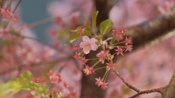 8834CF7D-E18B-4AD8-991F-A51E5CD63222/L0/001