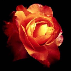 2280F9EF-7E91-4062-9F3E-F9DB356C570B/L0/001