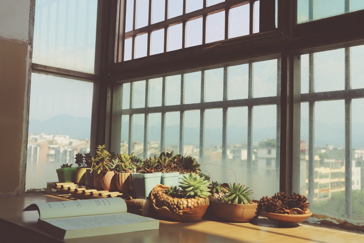 静谧午后与一米阳光