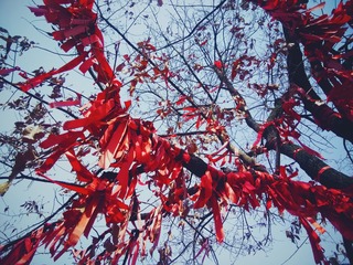 BB3D4AF9-4F0F-4D08-A815-2DAF80AC9B14/L0/001
