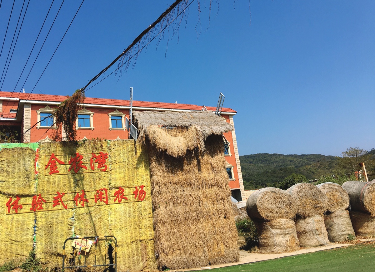 20210216趣浪草垛乐园