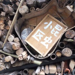 B257140C-D6E1-4F80-8004-A91BDB61CAA0/L0/001