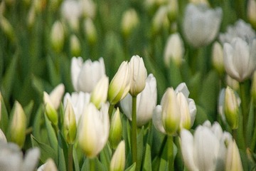 318040